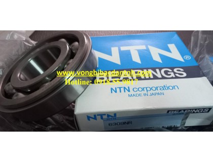 BẠC ĐẠN 6309 NR